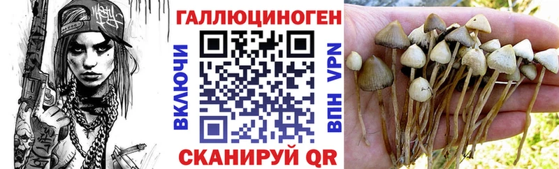 Псилоцибиновые грибы Psilocybine cubensis  Малоархангельск 